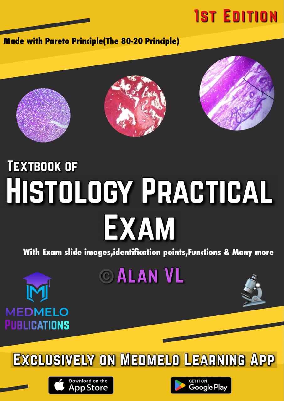 Blue Collar To White Coat